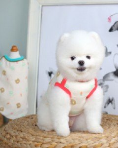 몽글몽글한 무드 느낌이 나는GL 쥬쥬민소매티셔츠