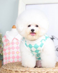 데일리웨어로 착용하기 좋은 BL 하트카라티셔츠
