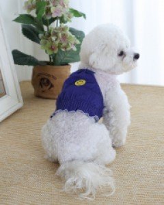 열접착식 스마일 패치로 원하는곳에 귀여움 up CH 쮸리데님홀터넥원피스