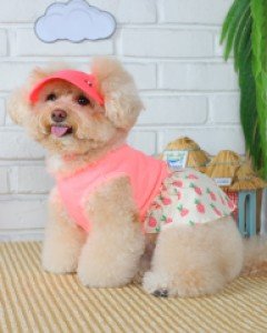 PM 파인애플원피스