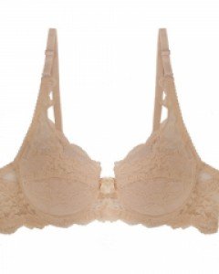 bra} 안톤 브라셋트