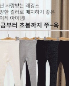 피치레깅스