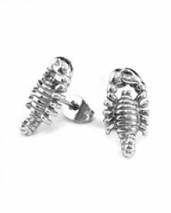 [iEarring 54호] 귀여운 전갈 귀걸이