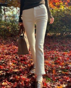 핫기모 부츠컷 코튼 팬츠  #79387