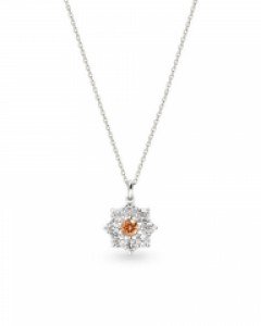 [MBC 손꼭잡고 협찬] SUN FLOWER N