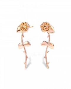 [MBC 손꼭잡고 협찬] THORNS ROSE E