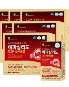 애플트리김약사네 헤파살리도 밀크씨슬 추출물 600mg x 30정 x 2박스 x 6세트 12개월분