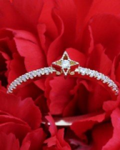 14K 18K 샤인 스타 반지