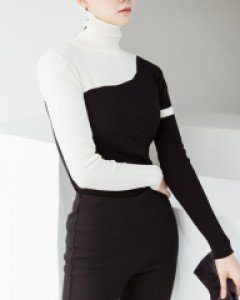 E2117 포인 라인 배색 터틀넥 탑