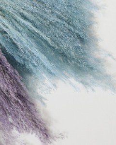 아그로스티스 프리저브드 플라워