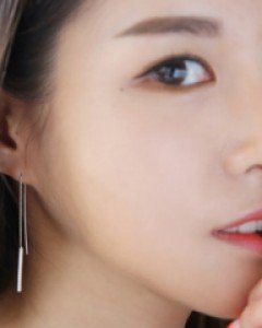 자이 크리스탈 바 귀걸이 (er1598)