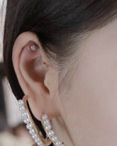 카밋 진주은침 링귀걸이 (er2358)