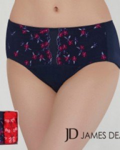 [90] JHWPVB13 제임스딘 면스판 여자 자수 레이스 맥시 삼각 팬티 2매입 세트
