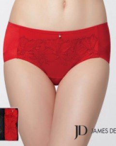 [90/95] JHWPX224 제임스딘 자수 레이스 여자 노라인 맥시 삼각 헴팬티 2매입 세트