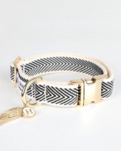 블랙코비 골드 목줄