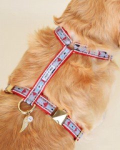 빈티지웨스트 레드 하네스