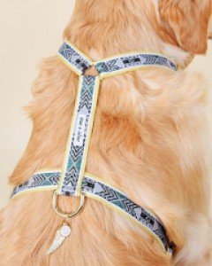 빈티지웨스트 옐로우 하네스