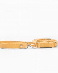 허니 옐로우 리브 리드줄