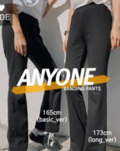 Thes Banding Boot Cut Pants (Basic/Longver)
