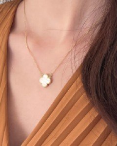Roy's Necklace