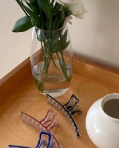 Ratorch Hair Pincers