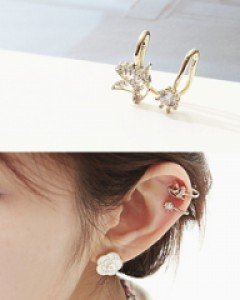 버드이어커프/트윈이어커프