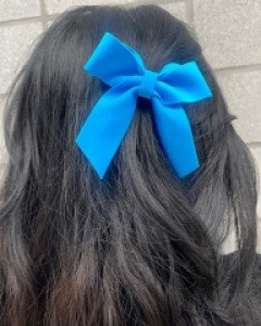 for 임영웅 응원 블루 리본 머리띠 헤어밴드 리본 집게핀 워터밤