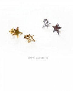 또다른별귀걸이