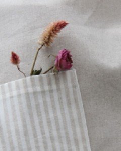 오트밀 포켓바란스