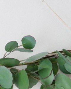 폴리 유칼립투스 네츄럴 가랜드