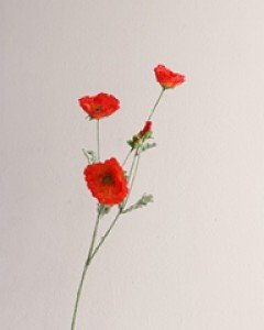 양귀비 조화부쉬1p (4color)