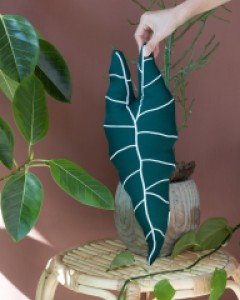 [20%세일]식물쿠션 알로카시아