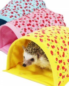 고슴도치 집 포치 바이어스 동굴 포치