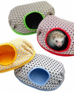 (북유럽풍)고슴도치 호박 포치