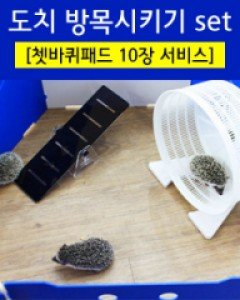 (단독무료배송!)방목시키기 SET!