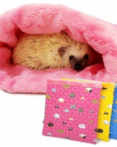 고슴도치 포치 은신처 베이직 포근 털포치