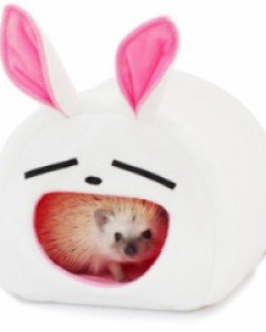 고슴도치 집 동물시리즈엽기토끼 포치 극세사