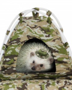 (도치의 후예)고슴도치 밀리터리 텐트 포치