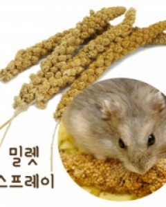 밀렛 스프레이1개/500g