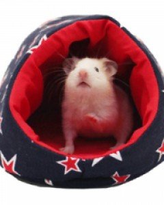 (순면/재질선택!)햄스터용 별무늬 이글루포치