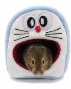 햄스터용 에몽포치