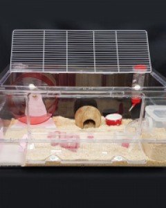 햄스터 집 케이지 스마트리빙 하우스 대형