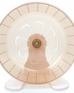 바람개비 쳇바퀴 브라운 중형/대형