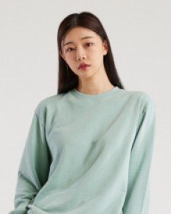 All day basic sweatshirt gray mint(unisex)
