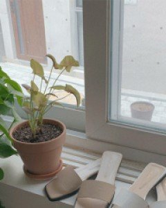 무드 스트랩 슬리퍼 - 4color