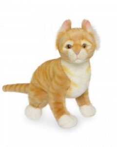 [한사토이] 3794 아기고양이 동물인형(Beige)/26cm.L