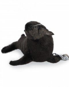 [한사토이] 6654 바다사자 동물인형 키체인/13cm.L