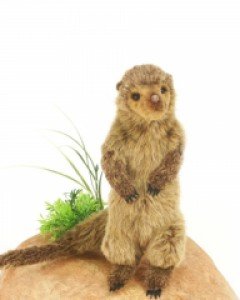 [한사토이] 5538 난쟁이몽구스 동물인형/32cm.H