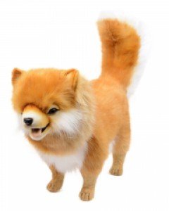 [한사토이] 7541 포메라니안 강아지인형/65cm.L