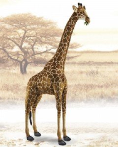 [전시상품 C급][한사토이] 0187-움직이는 기린 동물인형(실물사이즈)/482cm.H